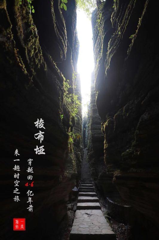 超级坦克消灭僵尸