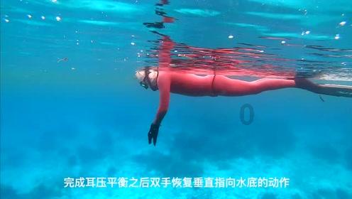 动物帮帮忙保卫家园