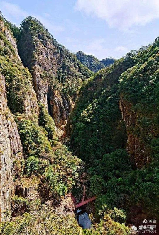 小猫钓鱼游戏龙王版有船